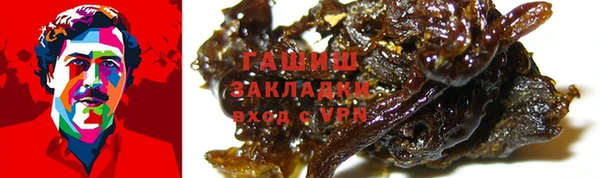 индика Белоозёрский