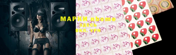 прущие грибы Баксан