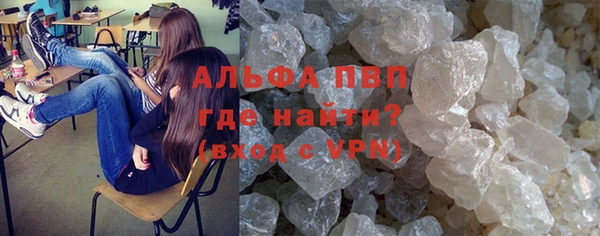 прущие грибы Баксан