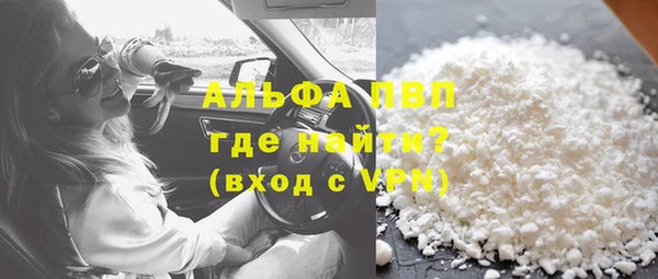 индика Белоозёрский